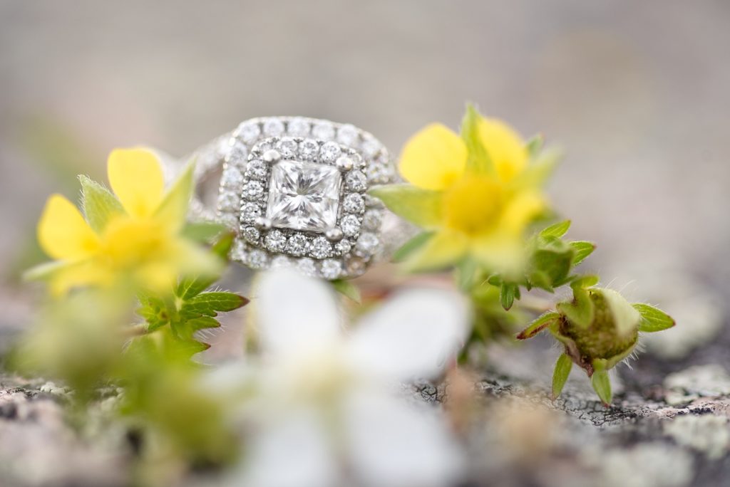 Beautiful up close shot of an engagement ring sitting on wildflowers
